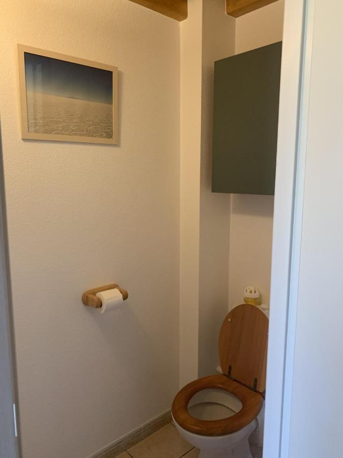 Appartement Dans Chalet Avec Jardin, Vue Montagne Aucun Екстериор снимка